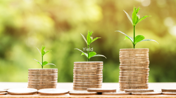 Understanding Yield: A Beginner’s Guide